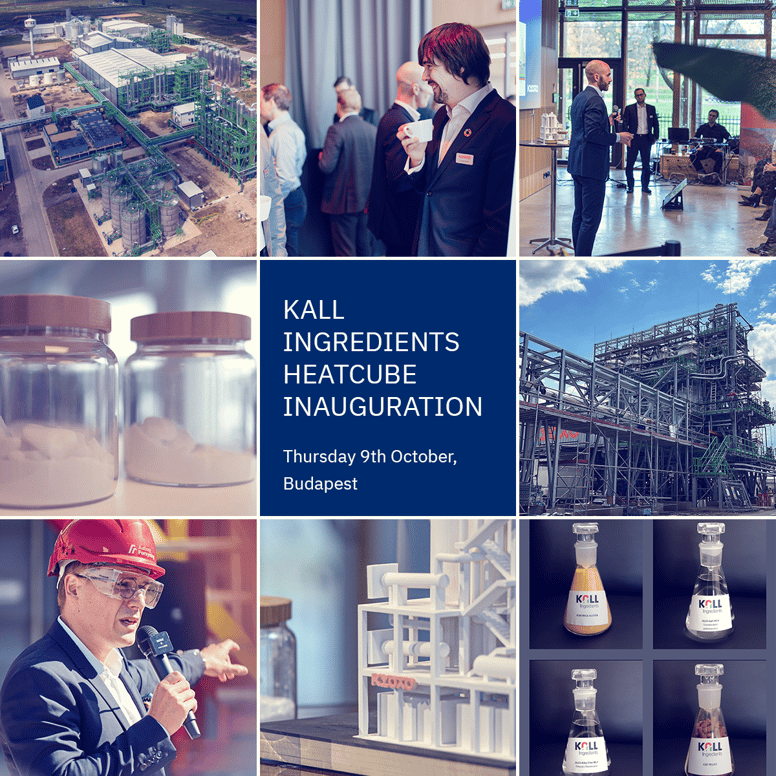 KALL_1200x1200