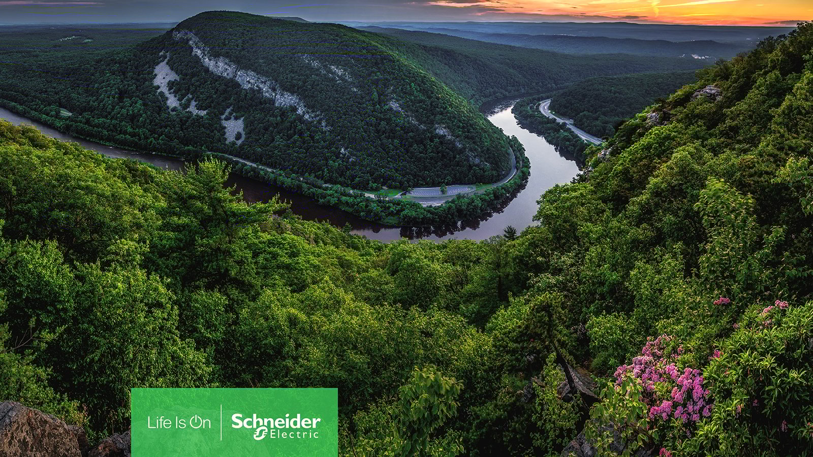 Kyoto starts the year with new energy!