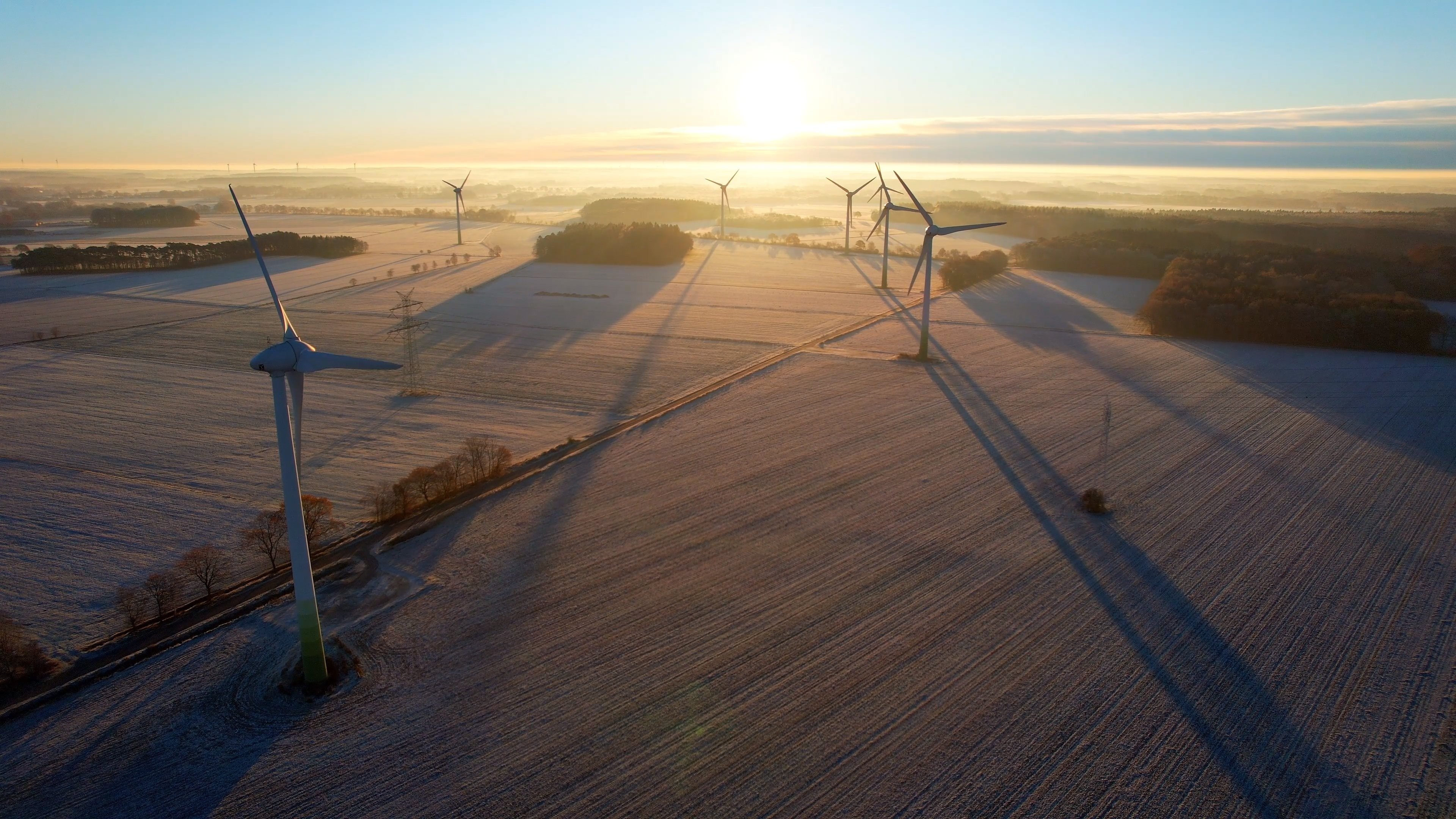 Windturbines in a field