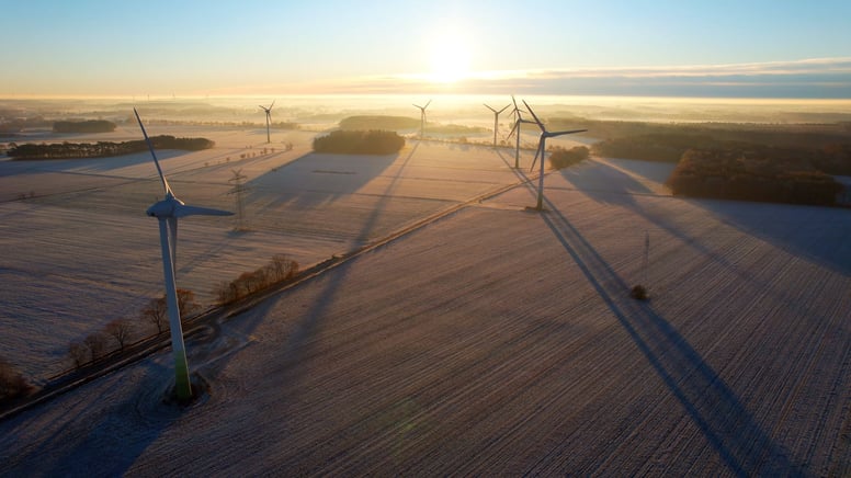 Windturbines in a field