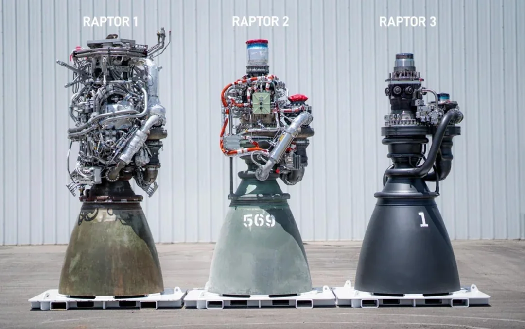raptors