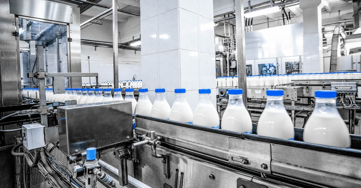 Dairy production line